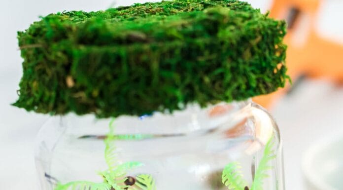 DIY Dinosaur Night Light Craft for Kids: Step-by-Step Instructions