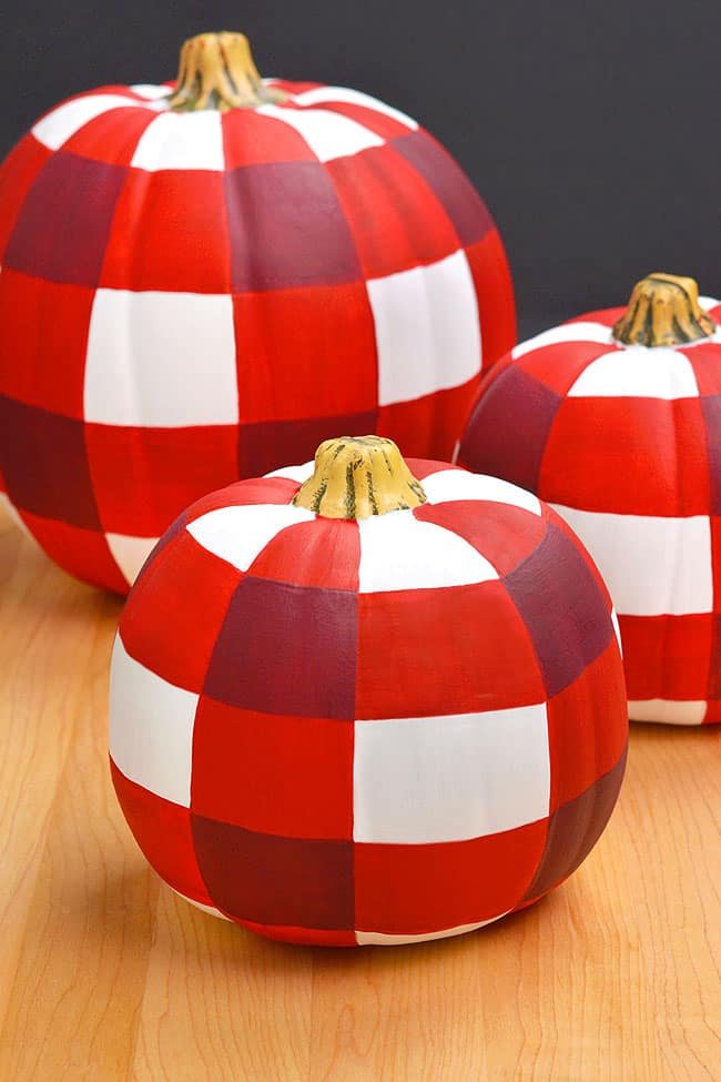 Group of buffalo check pumpkins