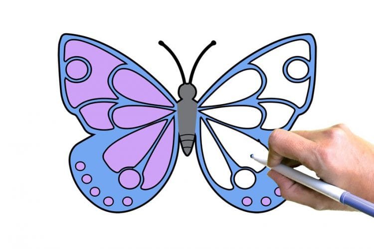 Butterfly Coloring Pages