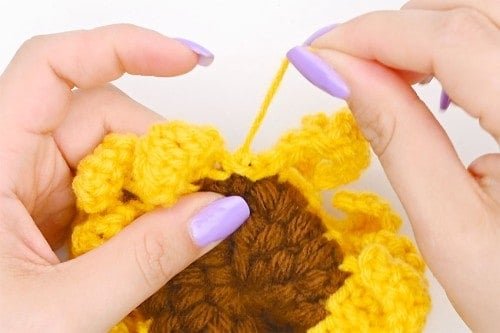 Crochet Sunflower