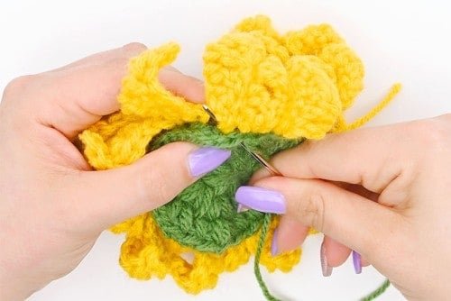 Crochet Sunflower