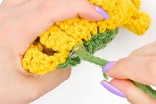 Crochet Sunflower