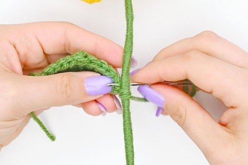 Crochet Sunflower