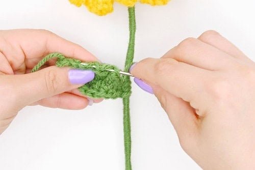 Crochet Sunflower