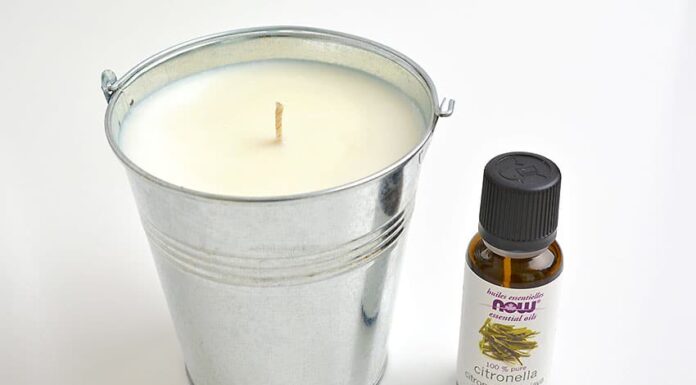 How to Make Citronella Candles
