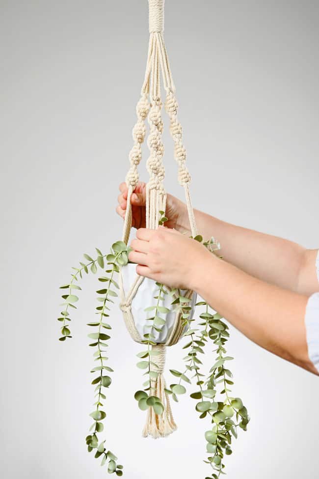 Setting a plant in a homemade hanging planter made from macrame cord