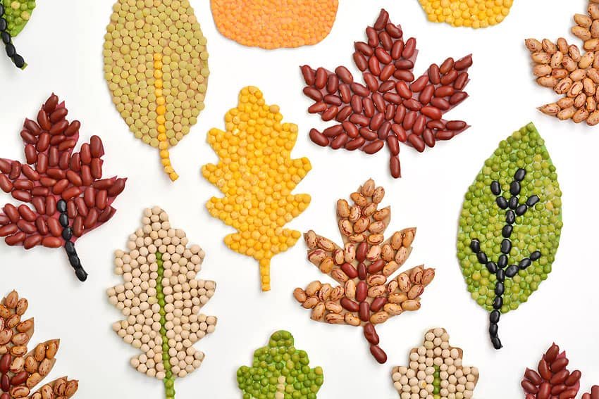 Dried bean mosaic art displayed on a white background