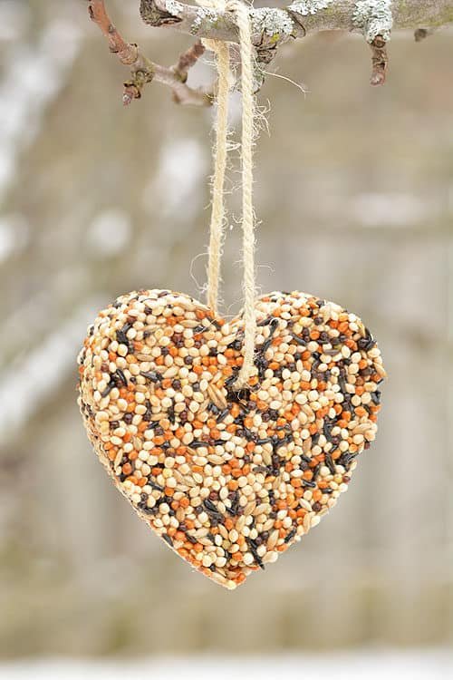 Winter Crafts - Birdseed Ornament