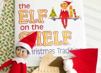 Teacher elf on the shelf ideas classroom – Elf Plate