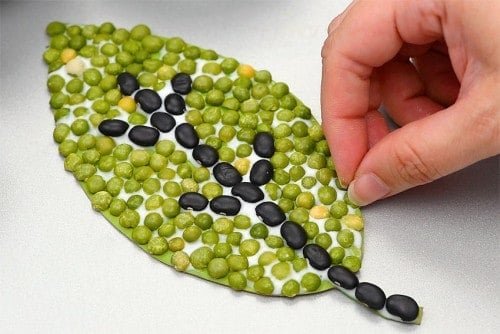 Fall Bean Art