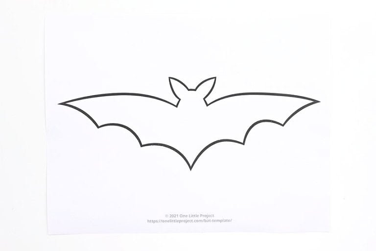 Flapping Bat Craft