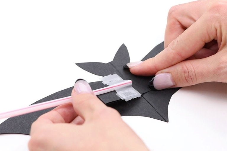 Flapping Bat Craft