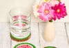 How to make Watermelon Wooden Coasters