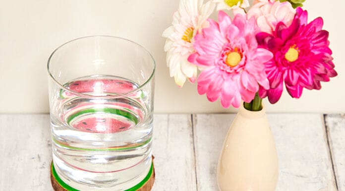 How to make Watermelon Wooden Coasters
