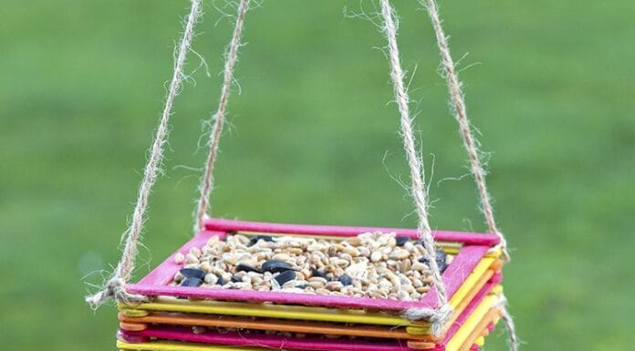 DIY Pop Stick Bird Feeder: Attract Birds to Your Yard