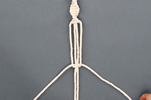 Macrame Plant Hanger