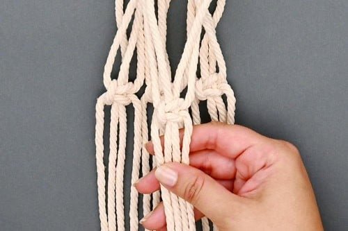 Macrame Plant Hanger