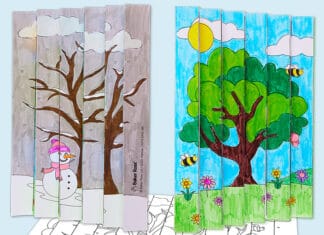 Summer How to make Winter Seasons Agamograph