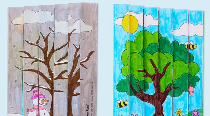 Summer How to make Winter Seasons Agamograph