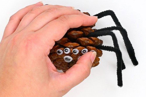 Pine Cone Spider