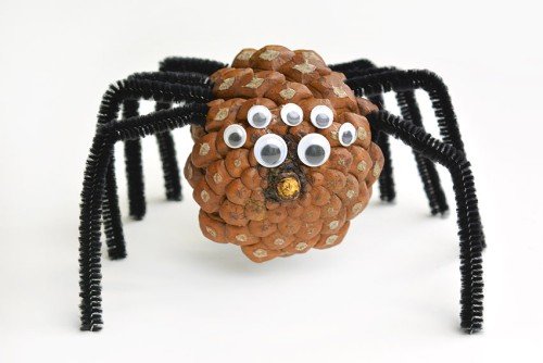 Pine Cone Spider