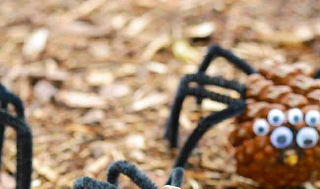 Pine Cone Spider Craft Pine cone spider with pipe cleaner legs and googly eyes