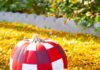Painted Buffalo Plaid Pumpkin Painted buffalo plaid pumpkins sitting outside in autumn leaves