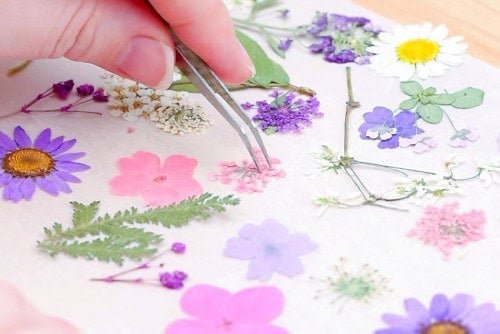 Pressed Flower Candles