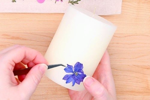 Pressed Flower Candles