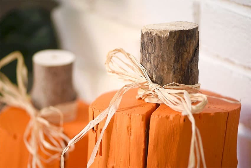 Closeup of a pumpkin stump