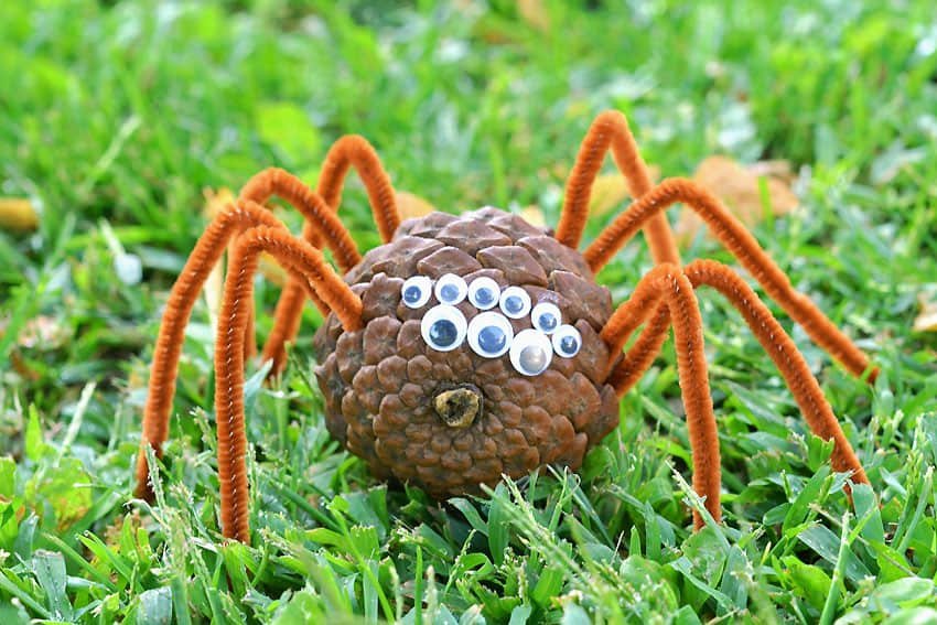 Pinecone Spider