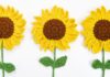 Crochet Sunflower