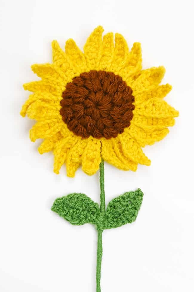 Pretty crochet sunflower on a white background