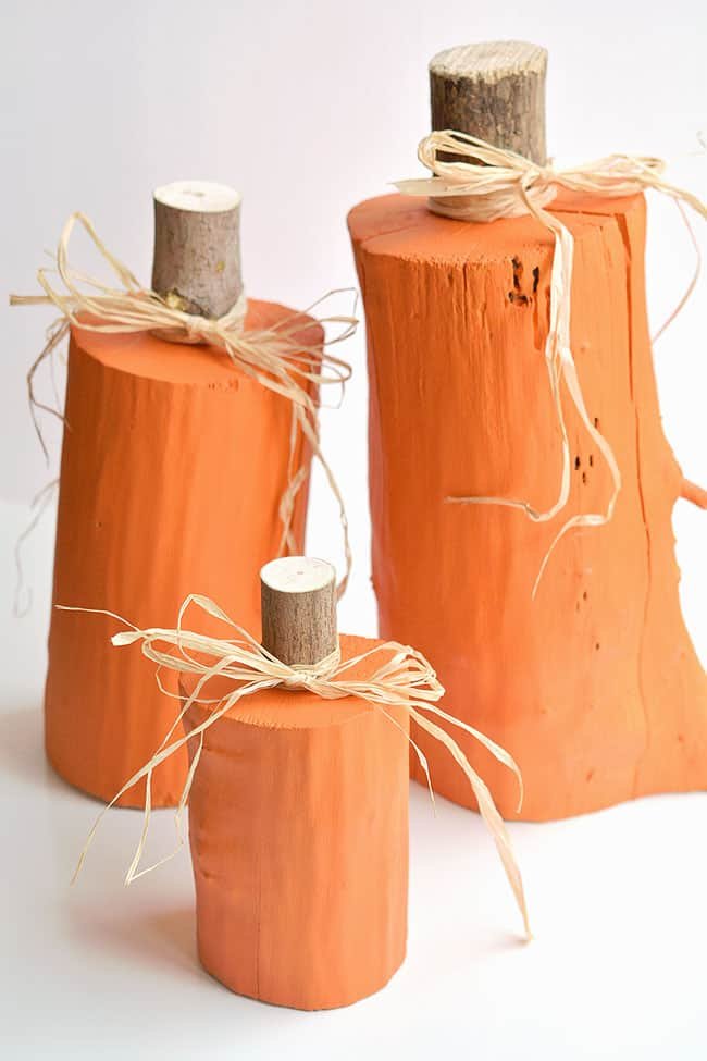 Tree stump pumpkins grouped together against a white background