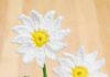 How to Crochet a Daisy: Easy Flower Pattern Easy crochet daisy made with a free, printable pattern