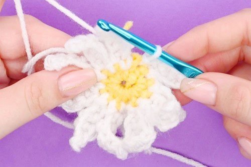 Crochet Daisy