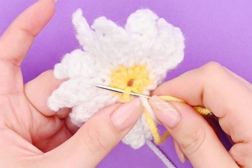 Crochet Daisy