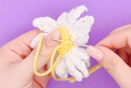 Crochet Daisy