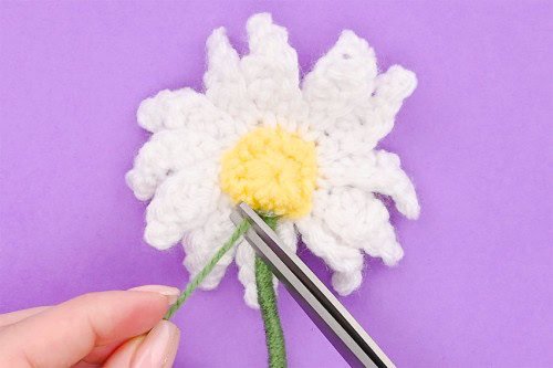 Crochet Daisy