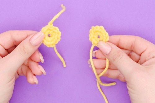 Crochet Daisy