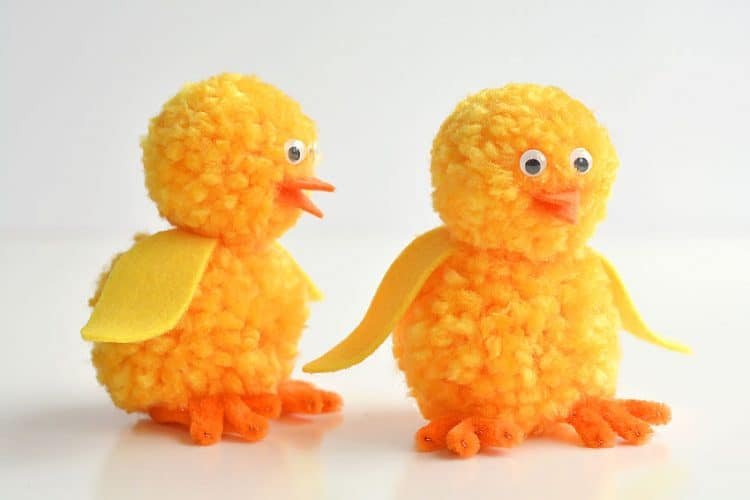 Two pom pom chicks standing beside each other