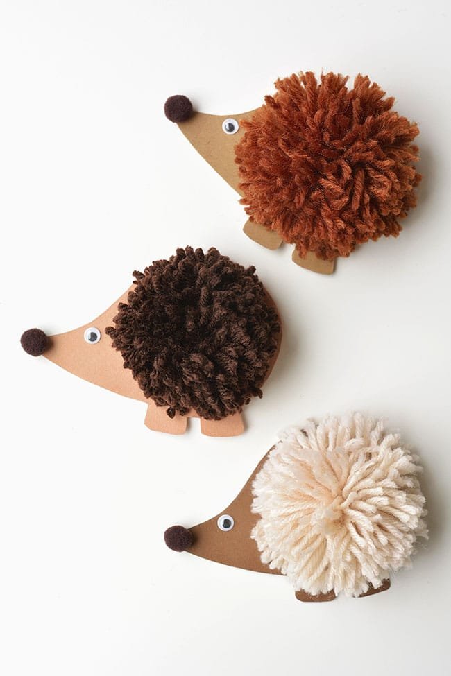 Three pom pom hedgehogs on a white background