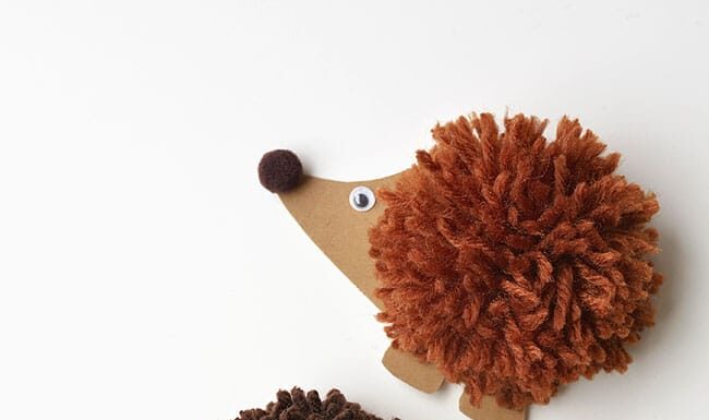 Pom Pom Hedgehogs Three pom pom hedgehogs on a white background