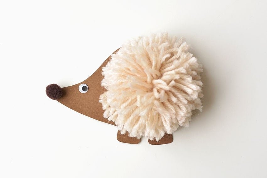 Pom pom hedgehog on a white background