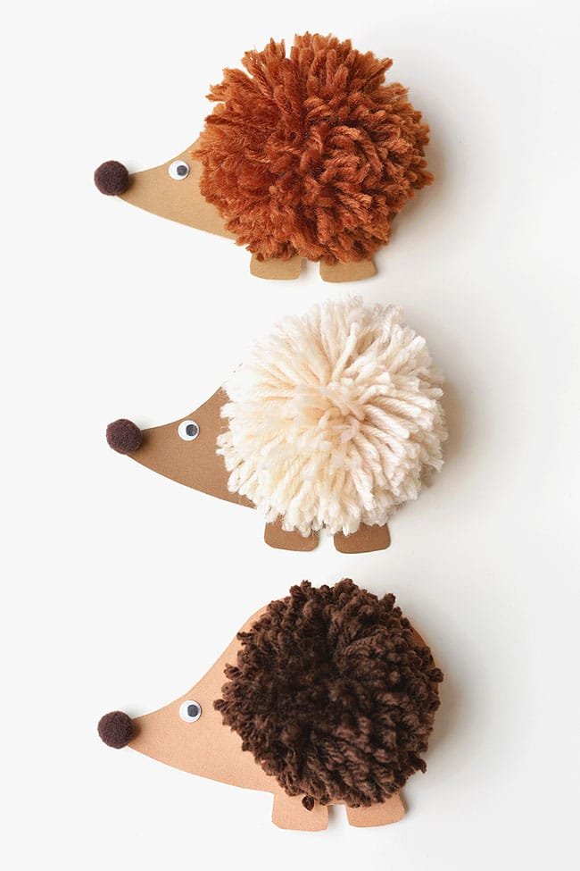 Three pom pom hedgehogs on a white background