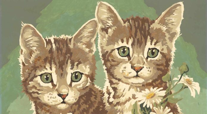 Top 10 Paint-By-Number Kits for Adults: Relaxing and Creative Art Projects