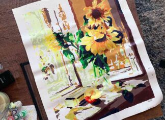 Colour Talk DIY Oil Painting Kit Review: Best Paint-by-Numbers for Beginners Completed Colour Talk DIY oil painting showing detail and texture of the paint on canvas