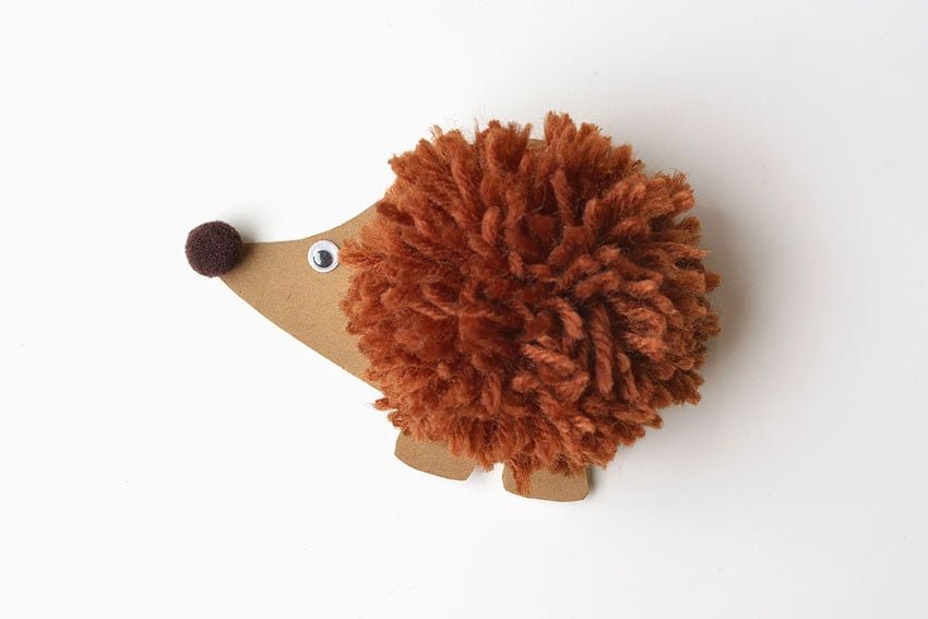 A pom pom hedgehog on a white background