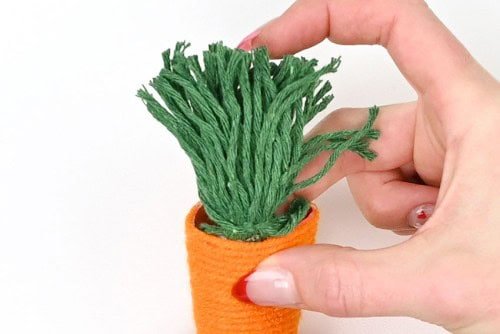 Yarn Carrot Craft