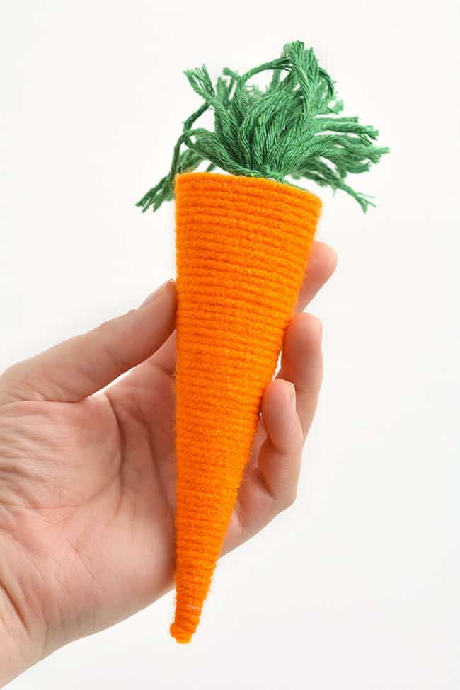 Holding a carrot craft